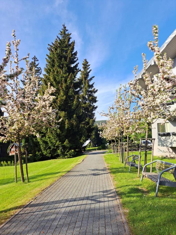 Resident Harrachov Family Apartment Exteriör bild